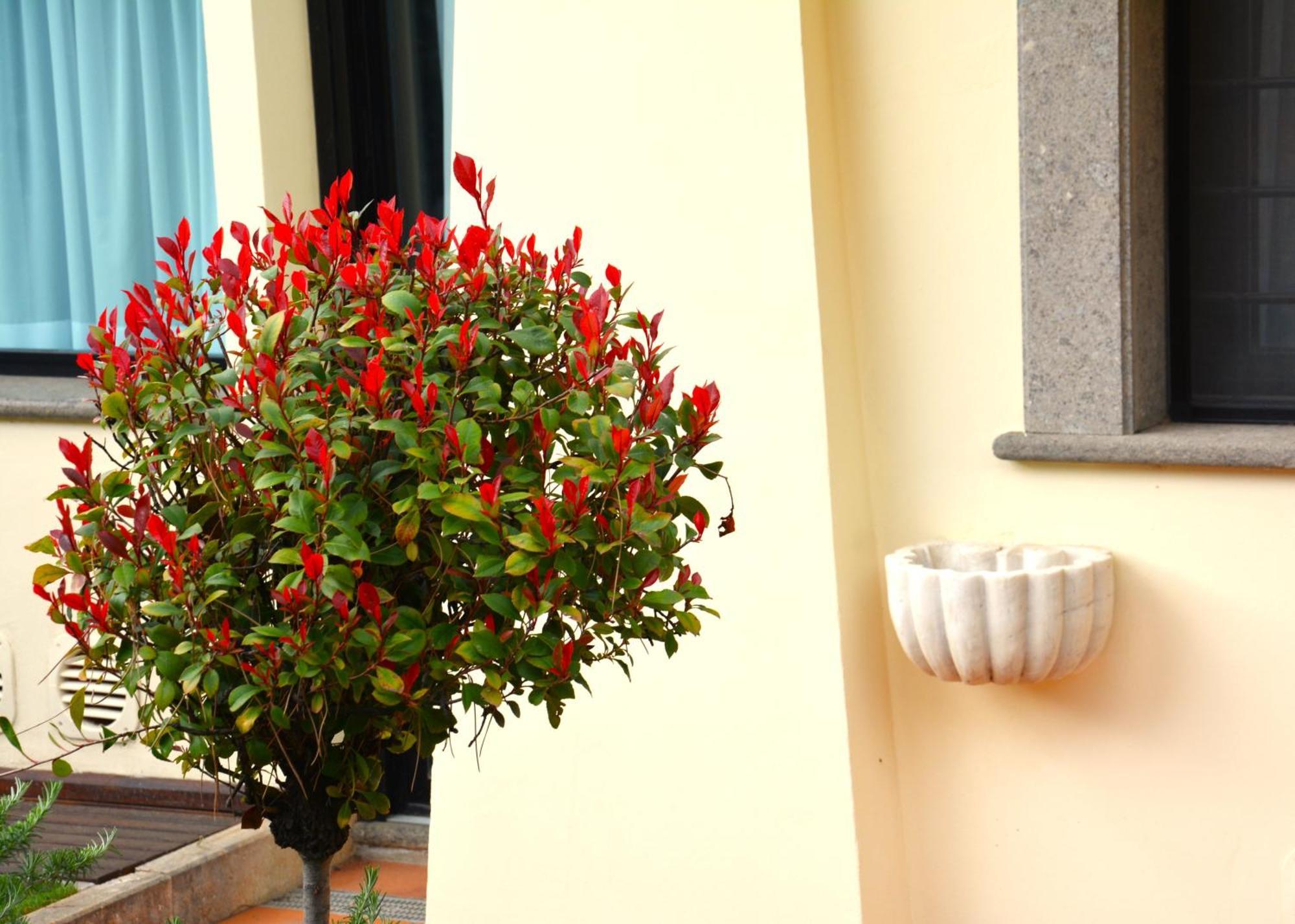 Gemelli Hotel Roma Dış mekan fotoğraf